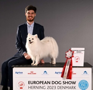 Japansk spids kennel stjernedrys lena bresdahl